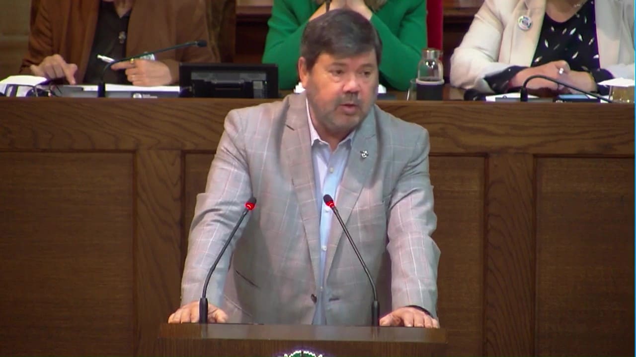 Intervención de Alberto Álvarez en las JJGG, sobremedidas tributarias en el IVA